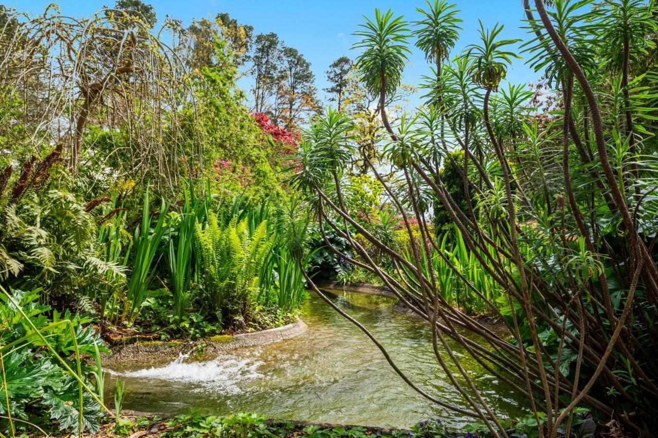 Parklands Country Gardens & Lodges Blue Mountains Blackheath Bagian luar foto